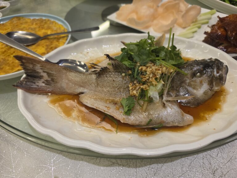 hong kong style steamfish