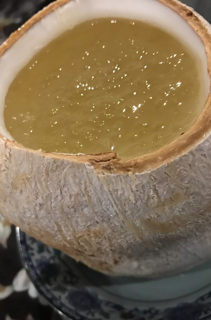 92 Armenian, Penang: Bird’s Nest Luxury in Every Bite 5 92Armenian coconutjelly