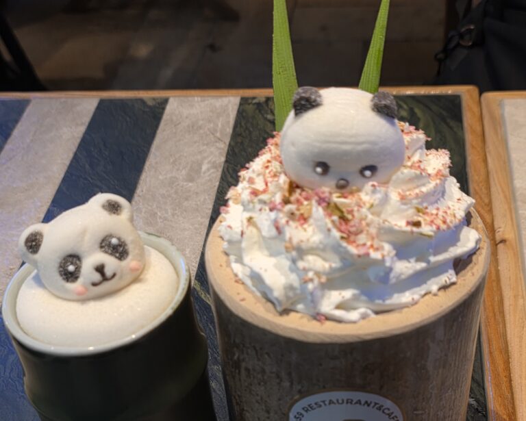 5:59+ Cafe & Bistro: The Dangerously Cute Panda Spot