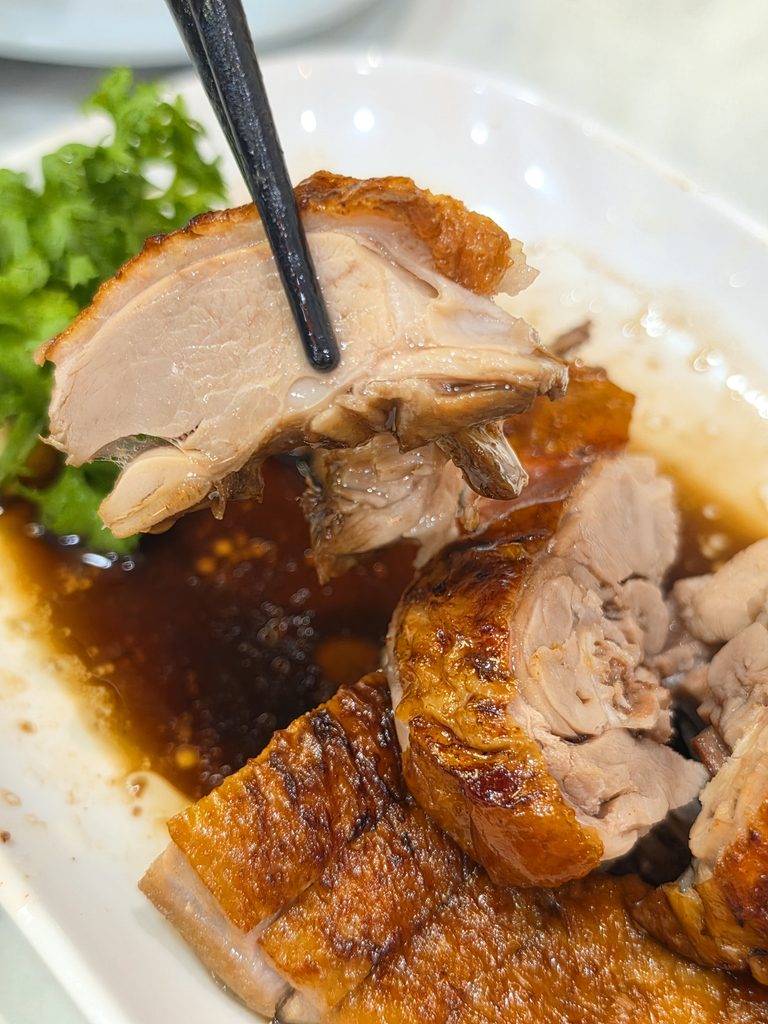 Duck meat