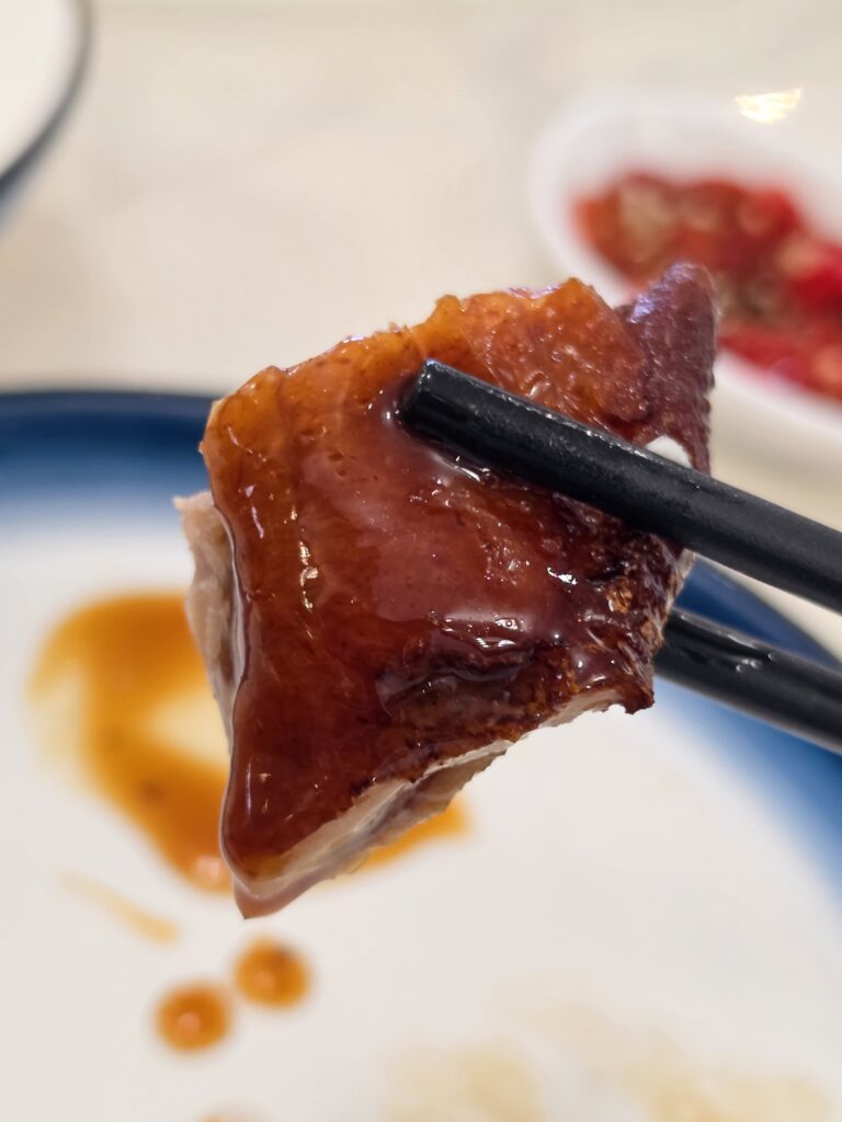 Roasted Duck Closeup