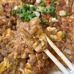 Fried Carrot Cake Closeup